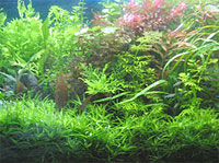 ����� �� ���������� ������ ������ ��� �������