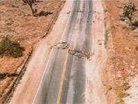 Калифорния может быть уничтожена землетрясением