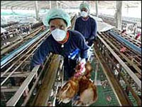 � ��������� ����� ������������� ������� �������� ������