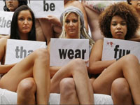 � ������ ����� ������������ ������� ����������� ��������