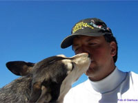 ����������� �������� ������� ������ ������ 33 879 ��