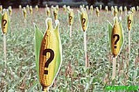 ���� ������ ����� �������� ����� � ��-������� ���������