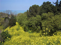 30% �������� � �������� �������� � ��� ������� ���������