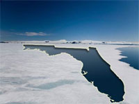 ����: ����������� ���� �������� �������� 2008 ����