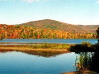 ���� ������� ������� ����� ������� � ���