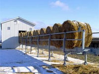 В Голландии научились делать топливо из соломы