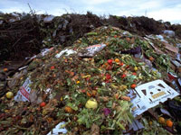 �������� �������� ����������� � ����� 3,6 ���. ���� ���������