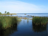 Десять тонн мазута вылилось из баржи в Онежское озеро