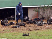 ����� ������� �������� ������ ���������� � ������