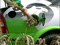 Япония пустит водоросли на бензин