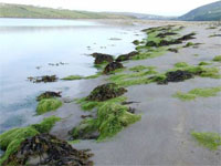 ����� ������� �������� �������� ������������