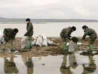Партия Зеленых Украины обращает внимание, что Черноморское побережье на Херсонщине до сих пор загрязнено нефтепродуктами