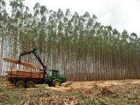 �������� ����� �������� � �������� ����� ��� ������ ����������� �����