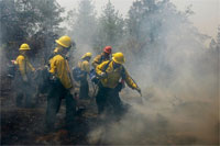 ���������� � ����: � ���� ������� ������� ������������ ���������