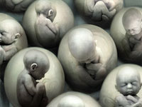 ������� � ���� ������ �������� �� ������������ ��������