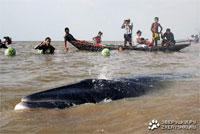 ��������: 25% ������������ ������� ��������� �� ����� ���������