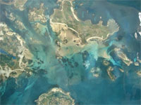 Ученые: Морская вода краснеет от плохой экологии