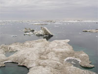 � ����� ������ �������� ������ �� ������