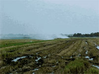 ���������� ����������� ��������� �������� ���������� ���������� �����