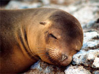 �� ���������� ��������� ������ ��������� �� �������