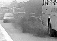 �������� �������� ������ ������ �������� ������