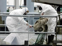 � ��������� ��������� ������ �� "�������� ������"