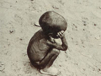 ����� ������� ����������� ������� � ����������