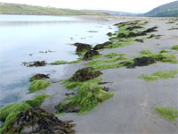 ��������� ������� � ������ � ���������� �����������