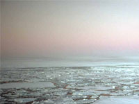 ������ ������������� � ��������� ������������� ���������� � �������