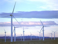 ��������� �������� ����� �������������� ���������� �� 38%