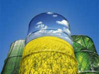 ������� ����� �������� ���� ���������� ���� ������������ ����������