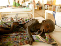 Глобальный продовольственный кризис продлится до 2015 года