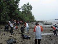 � ������� ������� ������� ����� 3 ������ ���� ������