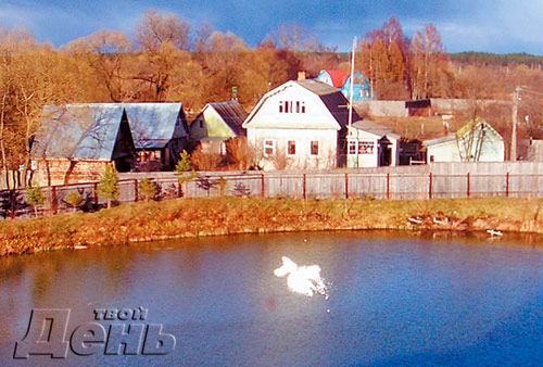 �� �� ���������� ������������, �� ��������� ������ �������� �������� ������