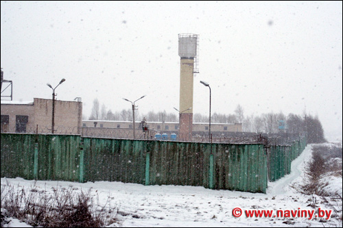 колония Витьба-3