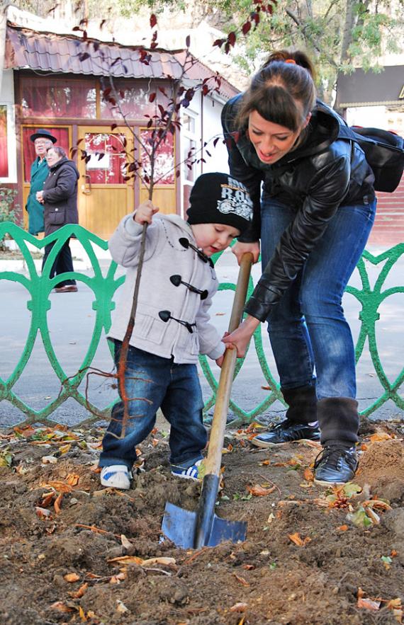 picturepicture34681_39436