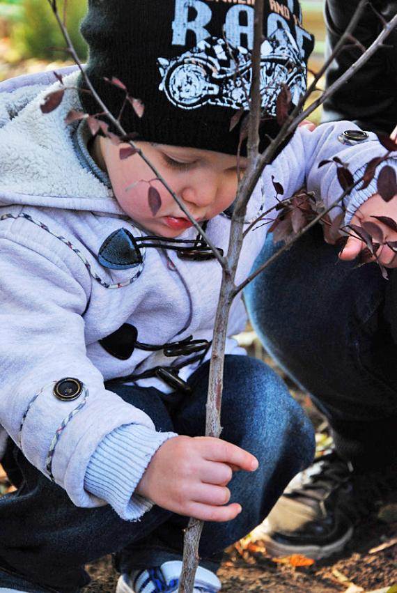 picturepicture34683_62873