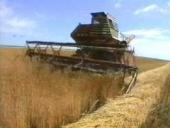 ����� ������������ ����� �������