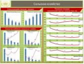 �.�. �����: ������������� ���� � ����