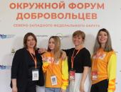Архангельская область: активисты партии из Каргополя вошли в число почетных волонтеров Поморья