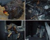 ����������� ���������� ���: � ���������� ��������� �������� "������� �������" � ������� ���� ���������� � ������ ������� 46 ����������� ��������� � "��������"