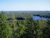 ��� ��? (���� ������������)