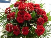 ������������ ��������� �������� ����������� ������� ����������!