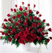 � ���������� ����������� � ���� ��������!