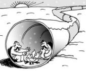 �������� �������� ������������� ���������: ������� ��������� ������� ���� �� 20% �� ������ 2012 ����