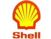 ������� Shell � �������� �������� �������������