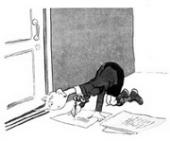 ��������� "�������" ��������� �� ������� ����������� �����: "��� ���� ������� ���? ���� ���������� ������� � �������� �� ���� �����"