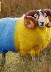 �������� ���������� �������