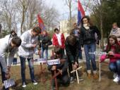 � ����� ������� ����������������� ��������