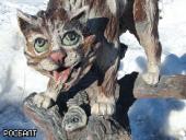 ���������� ��� ��������